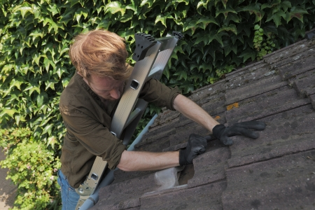 Klik om afbeelding te vergroten